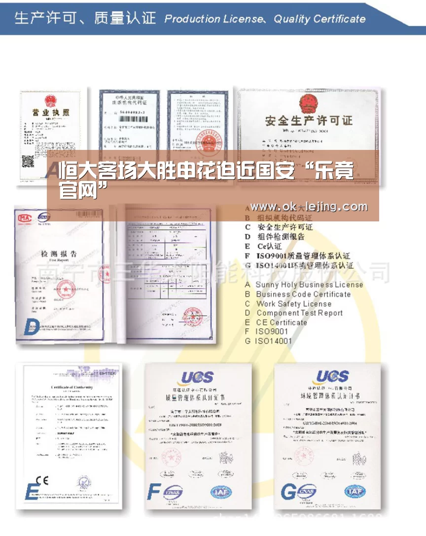 乐竟官网