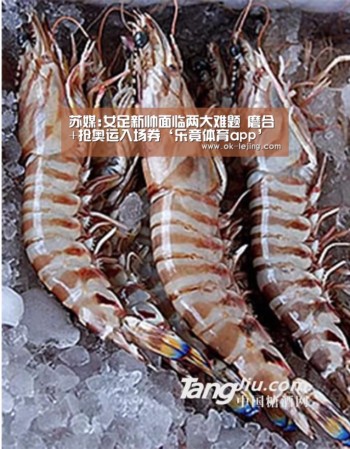 苏媒:女足新帅面临两大难题 磨合+抢奥运入场券‘乐竟体育app’(图2) 乐竟平台