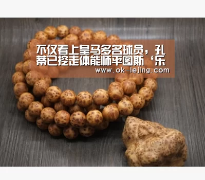 乐竟app