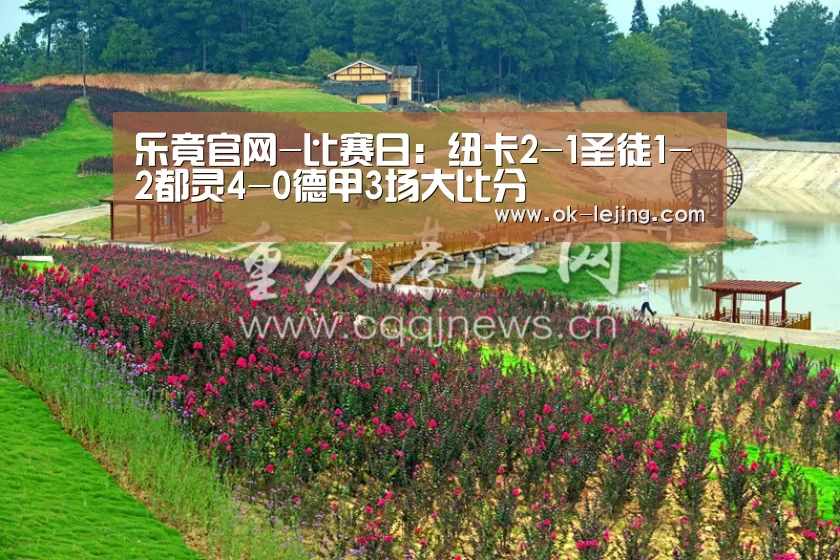 乐竟官网-比赛日:纽卡2-1圣徒1-2都灵4-0德甲3场大比分(图1) 乐竟体育app