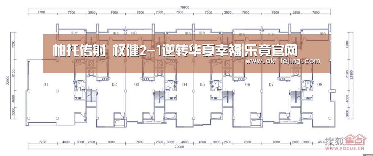 帕托传射 权健2-1逆转华夏幸福|乐竟官网(图3) 乐竟体育app